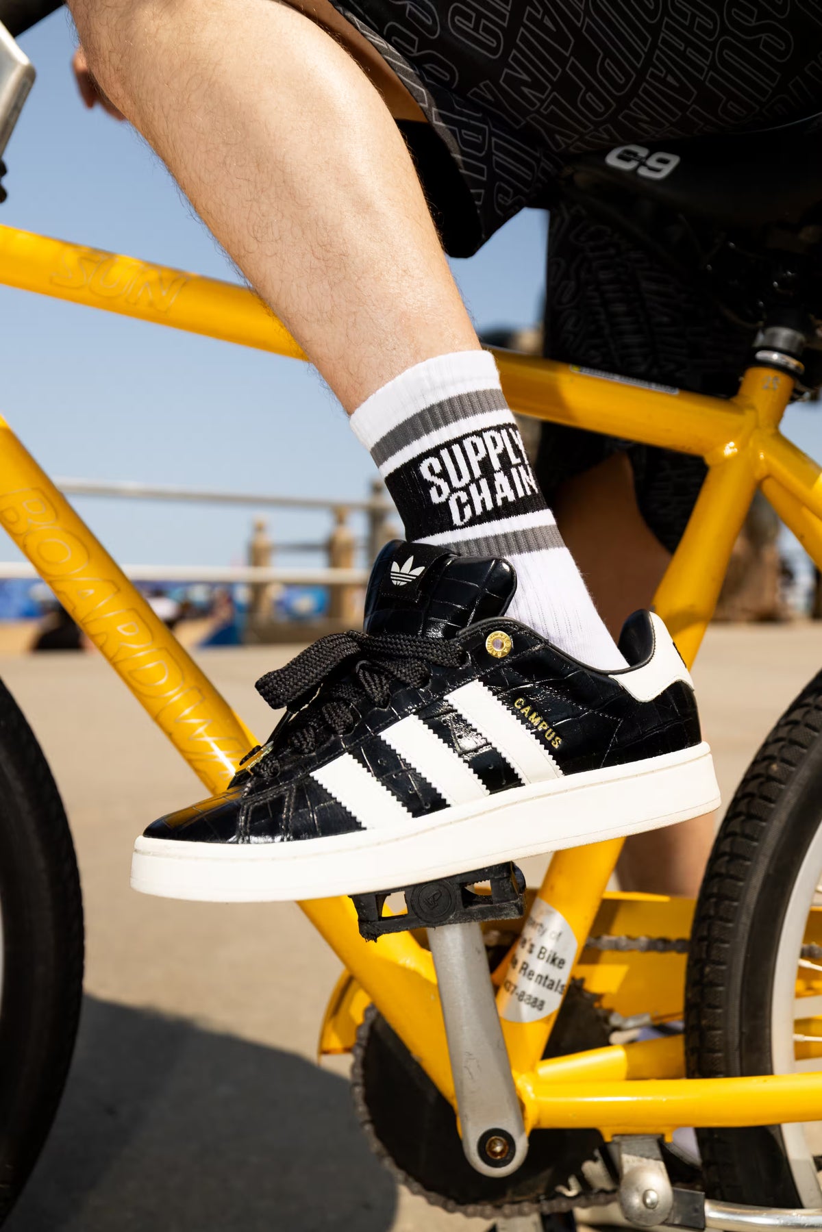 STAPLE SOCKS (WHITE)